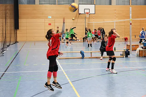 U12 Ofr.