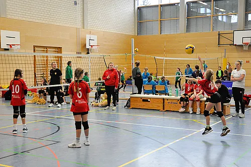 U12 NB