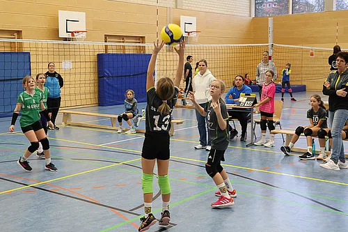 NB U12w