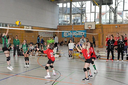 U12 BM