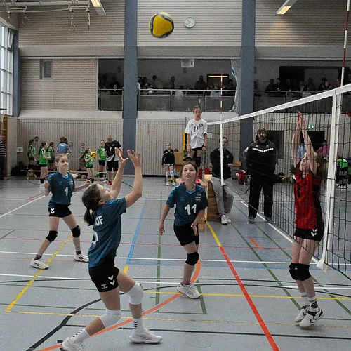 U12 BM