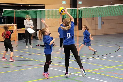 U11