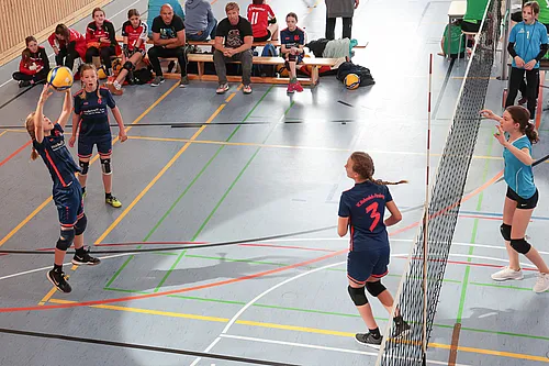 U13 NB