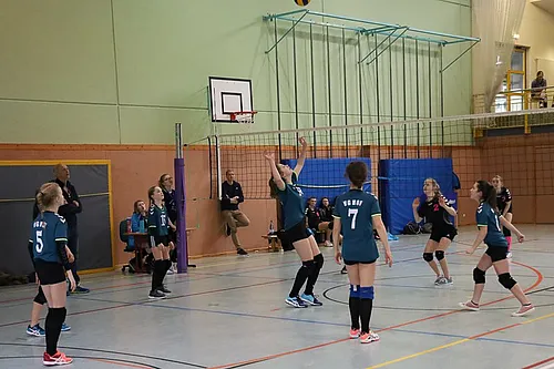 VG3