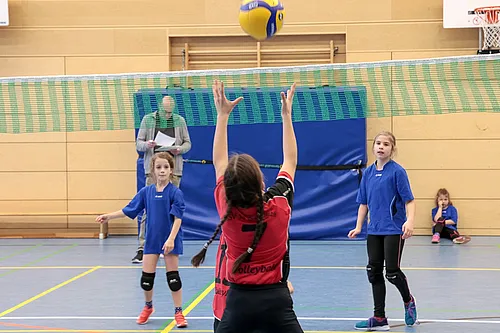 U11