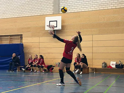 U16 U18