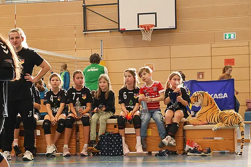 U12 NB