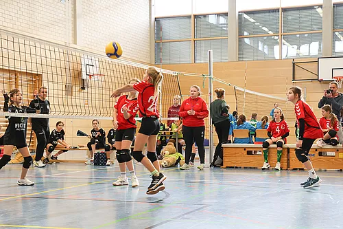 U12 NB