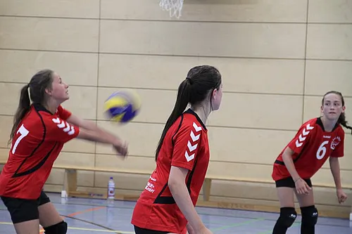 2. Schlappencup