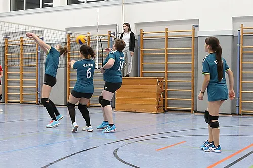 VG3
