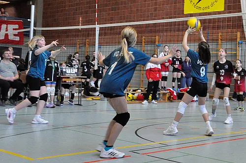 U12 NB