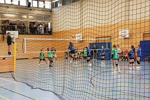 VG3 VG5