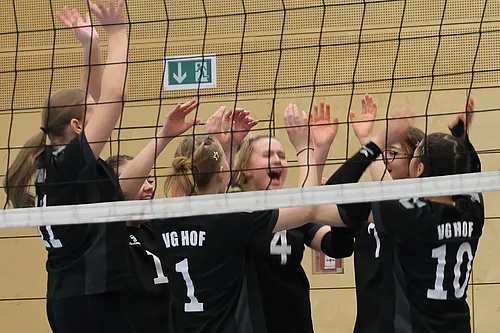 VG4 VG5 ATSV