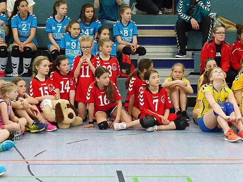 WEGRA Cup