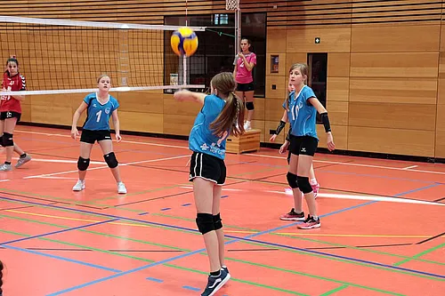 U11 U15