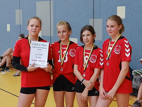 Spass am Volleyball mit Ulli