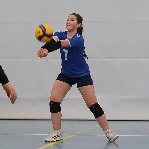 VG4 VG5 ATSV