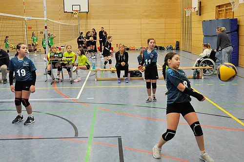 U12 OM