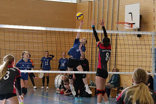 U16 OM