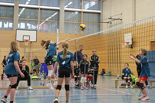 U12 OM