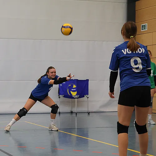 VG4 VG5 ATSV