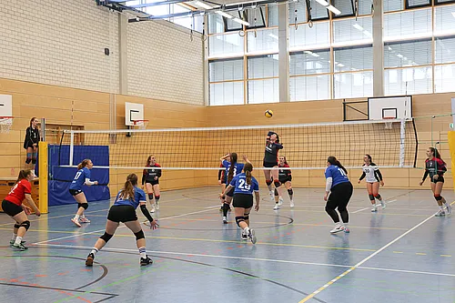U20 U16 U12