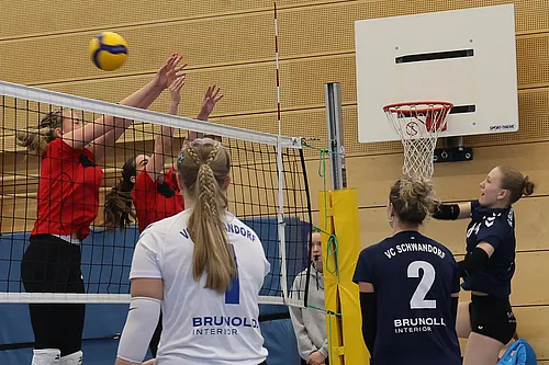 U20 NB
