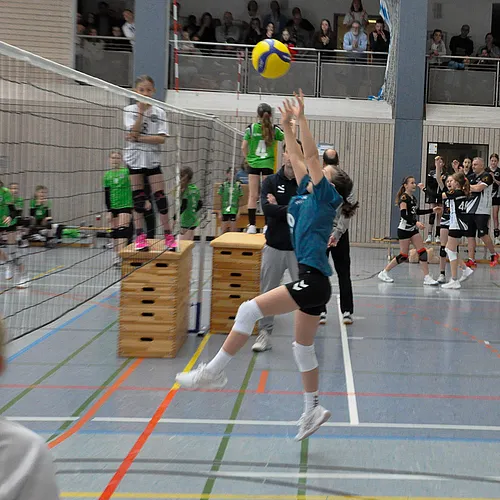 U12 BM