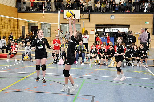U12 NB
