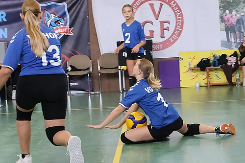 VG4