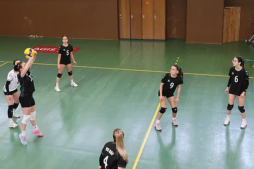 VG4