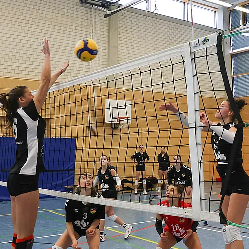 U20 NB