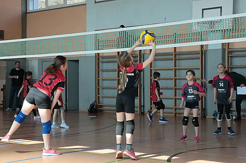 U11