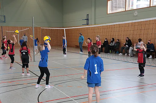 U11