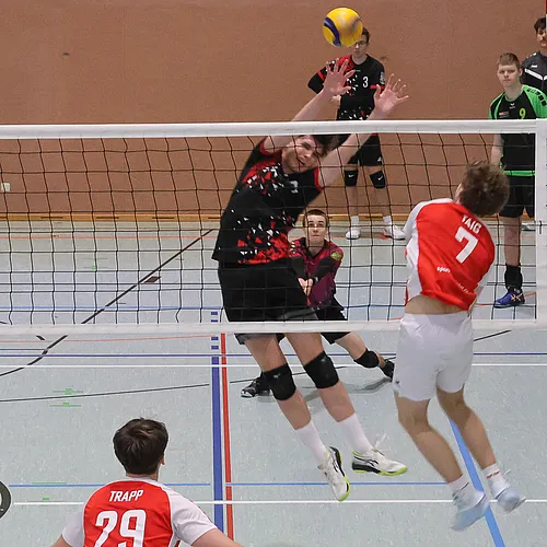 VG4 VG5 ATSV