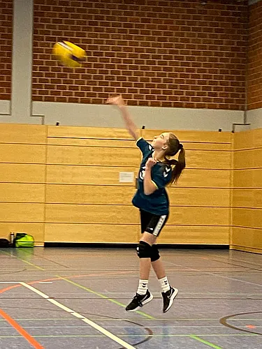 VG3