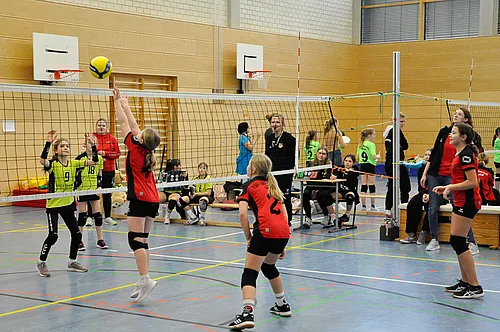 U12 NB