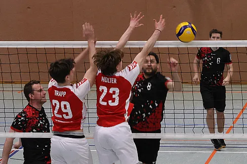 VG4 VG5 ATSV