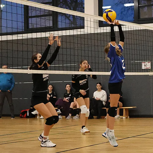 VG4