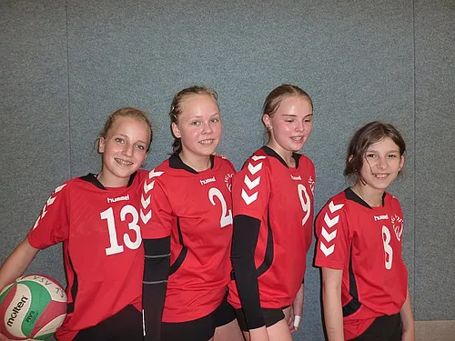 Spass am Volleyball mit Ulli