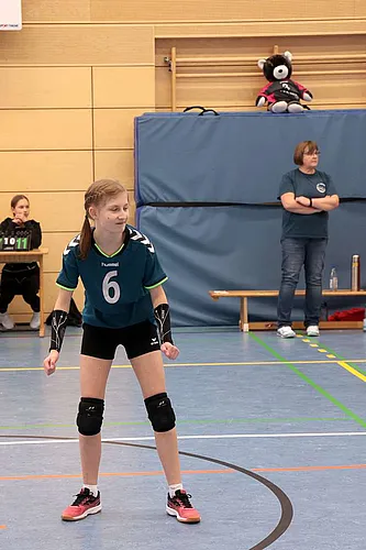 VG1 VG3