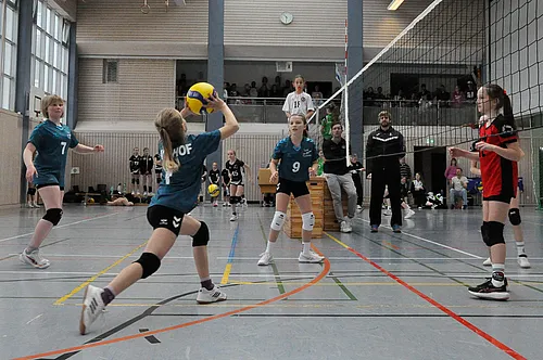 U12 BM