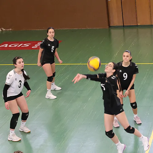 VG4