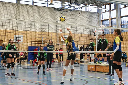 NB U12w