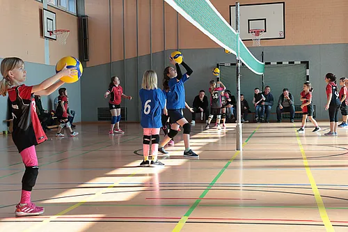 U11