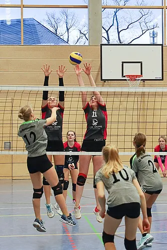 U16 Ofr.