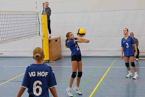 VG4