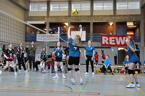 U12 NB