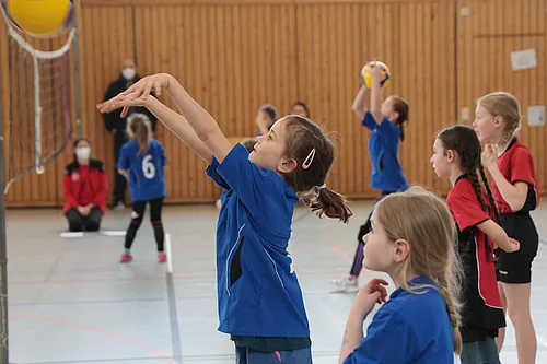 U11