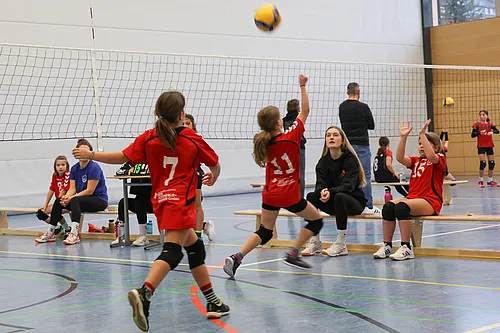 U12